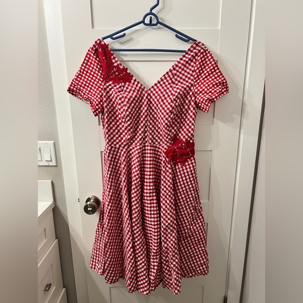 Red Gingham Dress with Lace Accents